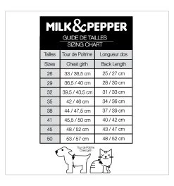 Alister (pull) 9 Alister (pull) -Animalerie alister pull 4