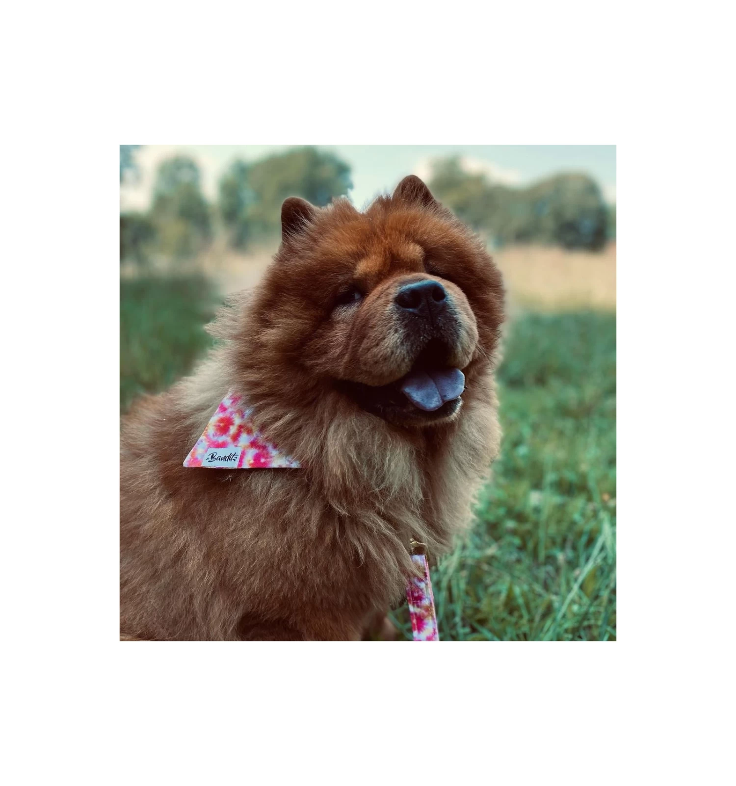 Bandana BANDIKINI 2 Bandana BANDIKINI – Image 2