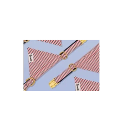 Bandana FRENCH BANBAN