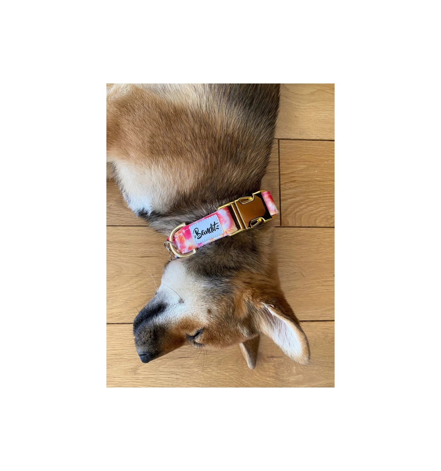 Collier BANDIKINI 2 Collier BANDIKINI – Image 2