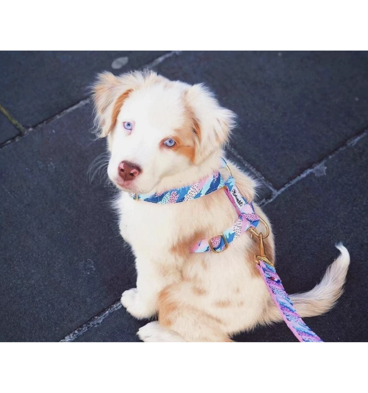 Collier HIPPIE COOL 2 Collier HIPPIE COOL – Image 2