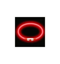 Collier Lumineux Chien - Rechargeable