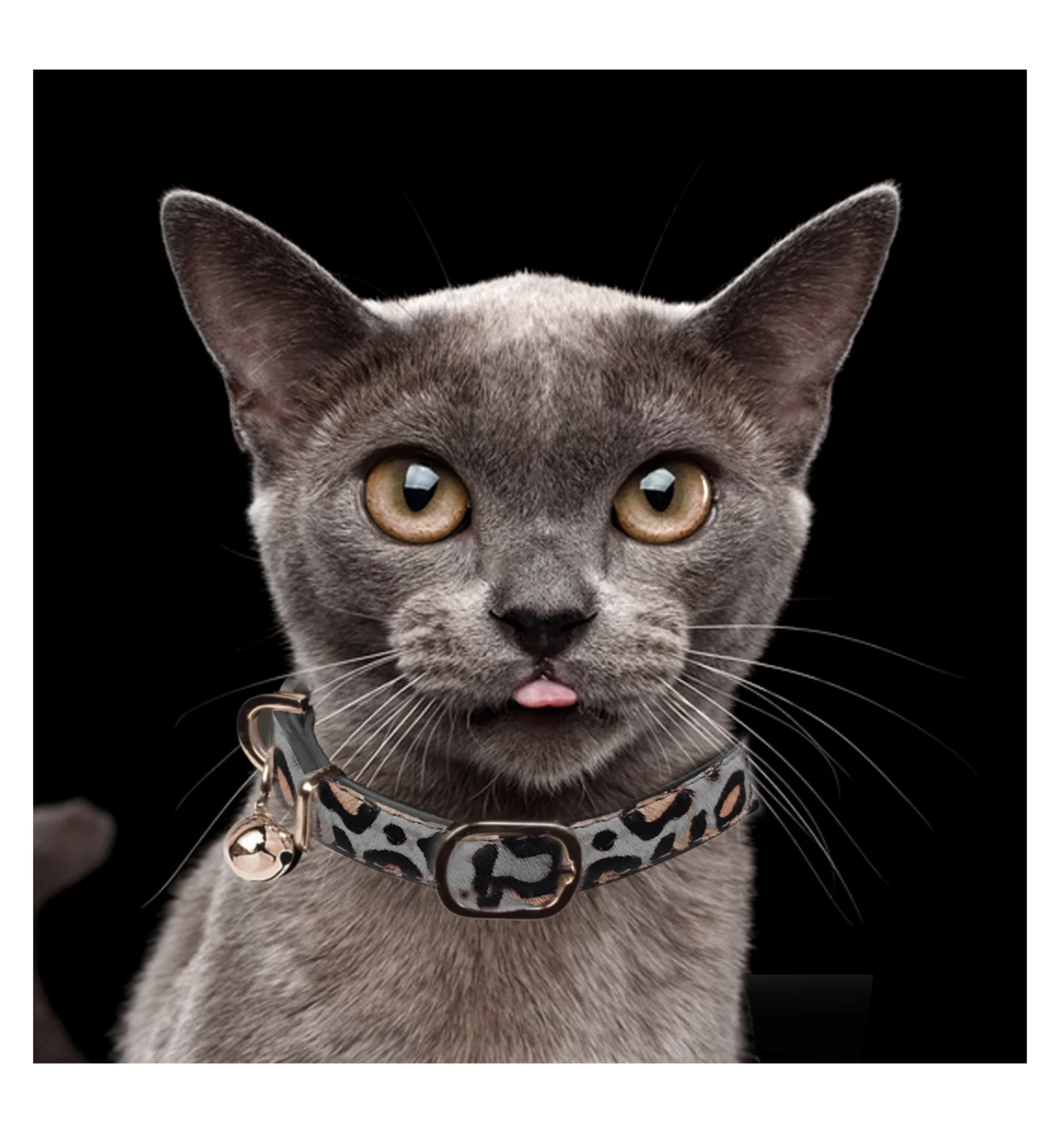 Collier Panthère Chat 2 Collier Panthère Chat – Image 2