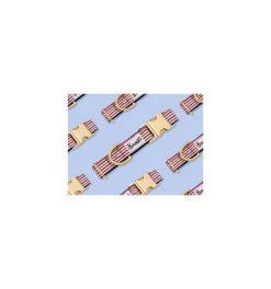 Collier THE FRENCH BANBAN