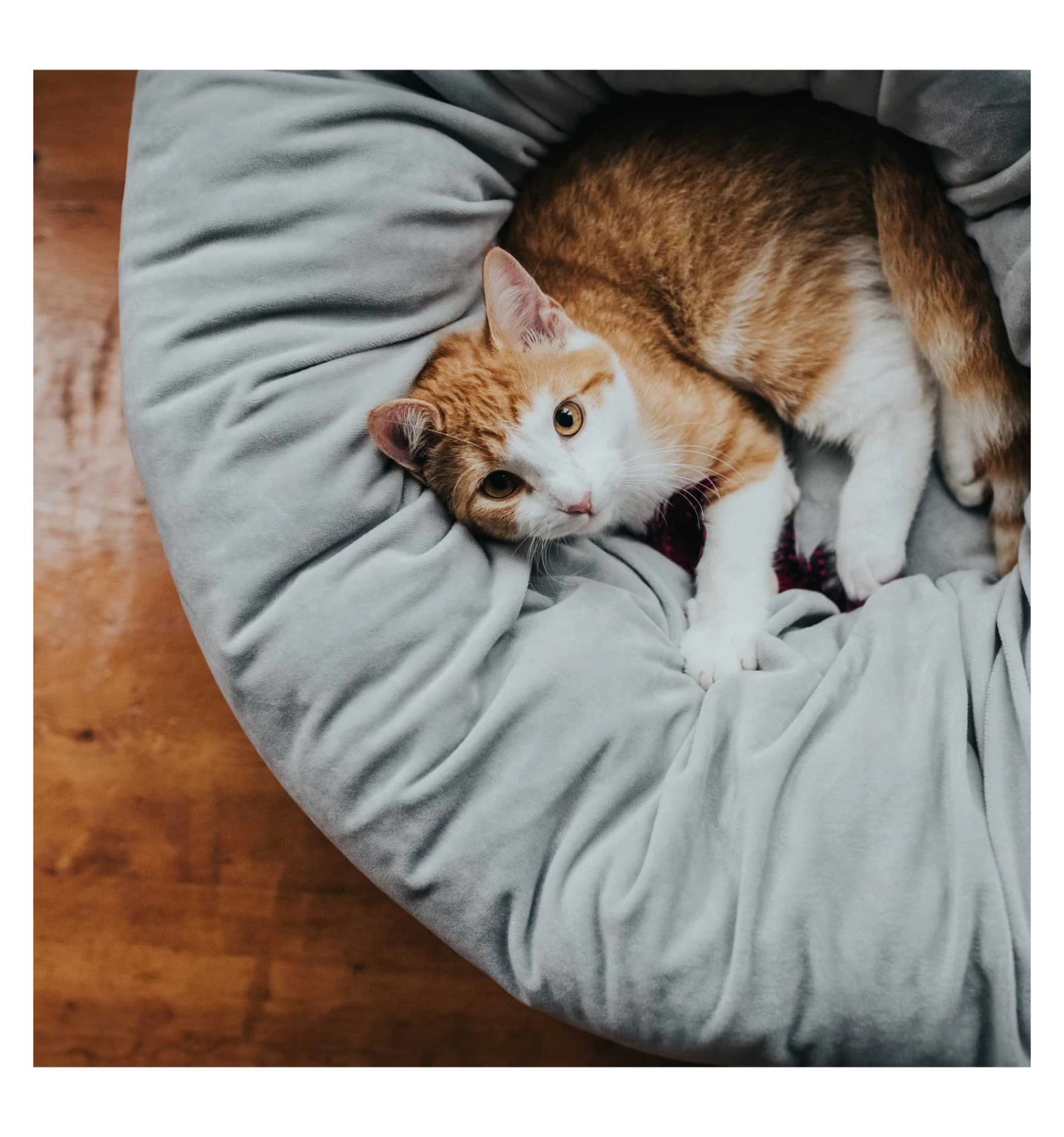 Hunter Couchage Miranda 3 Hunter Couchage Miranda – Image 3