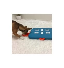 Dog Casino