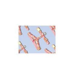 Produits populaires 9 Harnais BANDIKINI