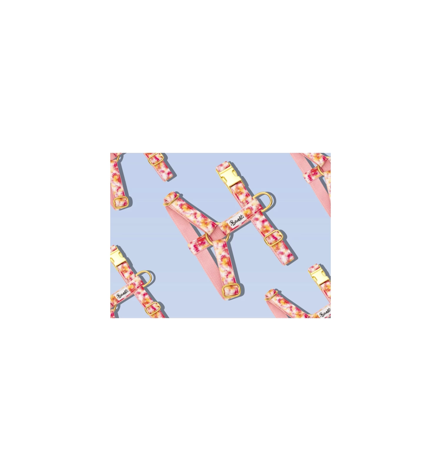 Harnais BANDIKINI 1 Harnais BANDIKINI