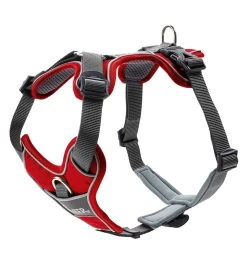 Hunter Harnais DIVO -Animalerie harnais divo 2