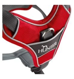 Hunter Harnais DIVO -Animalerie harnais divo 3