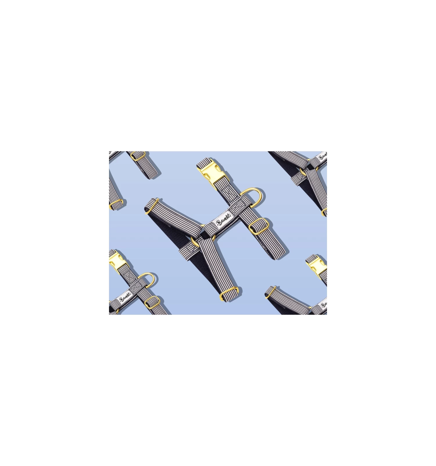 Harnais IN THE NAVY 1 Harnais IN THE NAVY