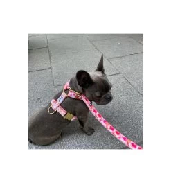 Produits populaires -Animalerie harnais oh my lord 1