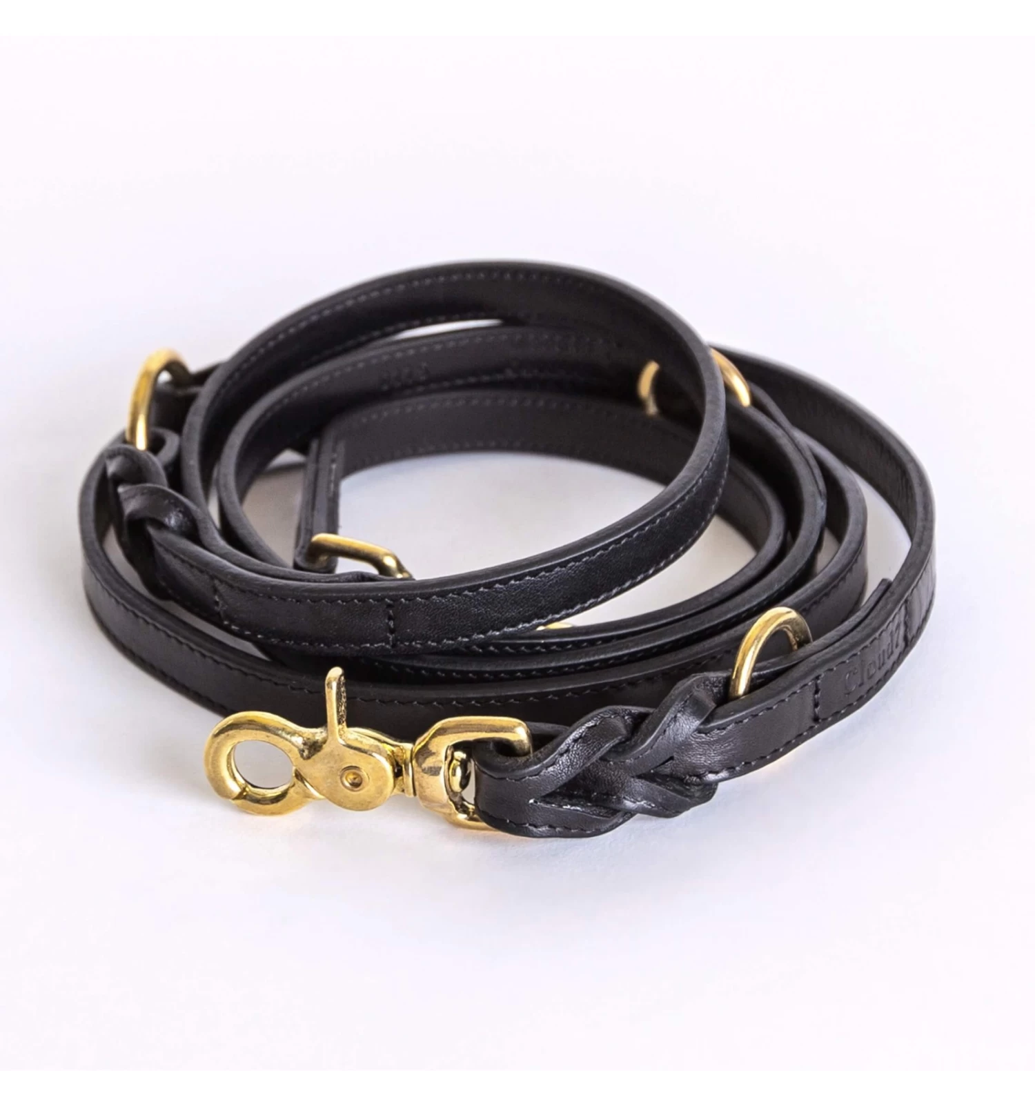 Laisse 3 Positions Hyde Park 1 Laisse 3 Positions Hyde Park