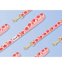 Laisse 4 Positions BANDIKINI