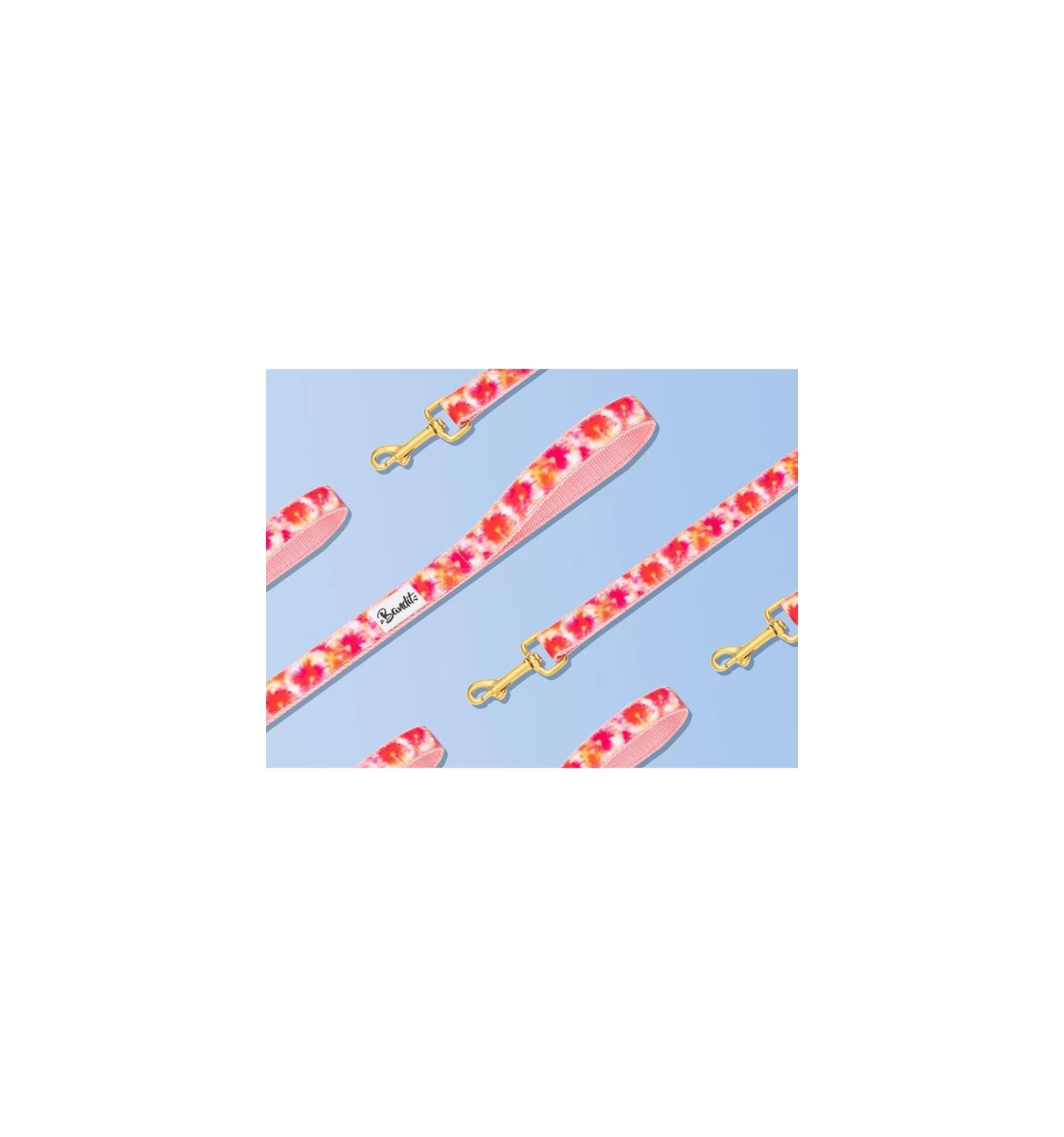 Laisse BANDIKINI 1 Laisse BANDIKINI