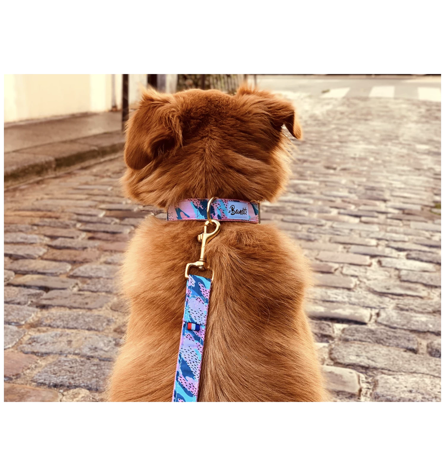 Laisse HIPPIE COOL 2 Laisse HIPPIE COOL – Image 2