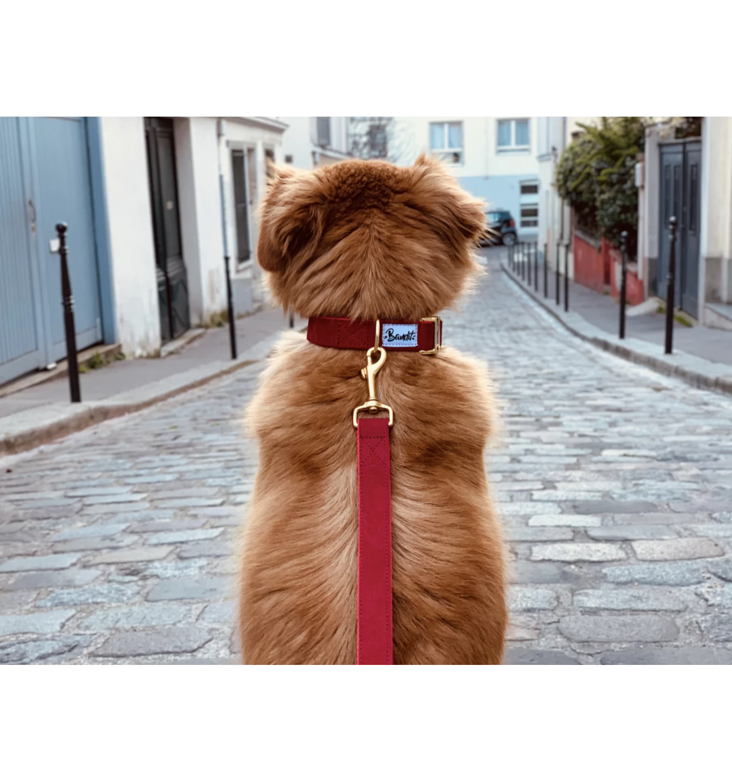 Laisse SO RED CHIC 2 Laisse SO RED CHIC – Image 2