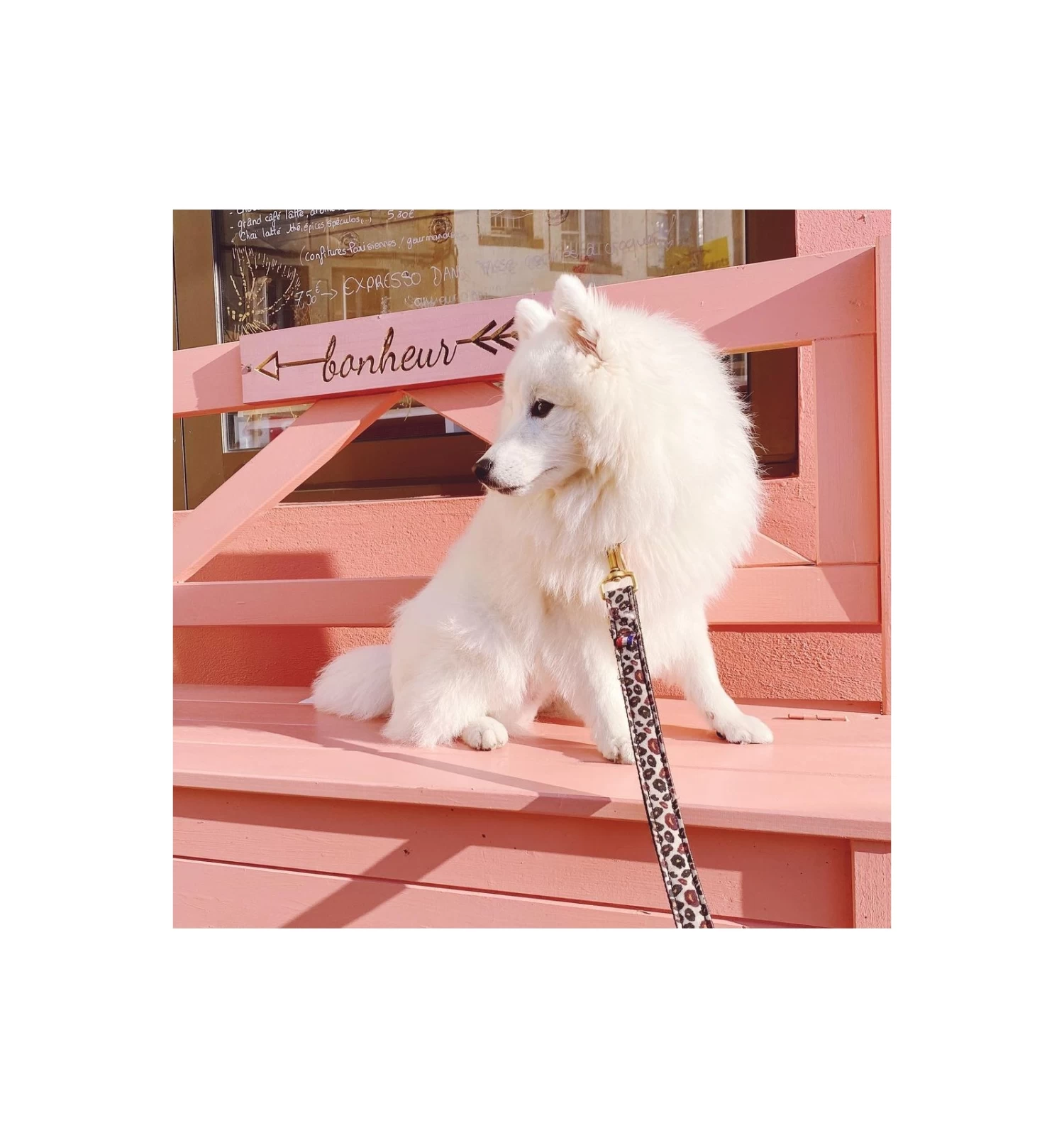 Laisse WILD WILD WOUF 2 Laisse WILD WILD WOUF – Image 2