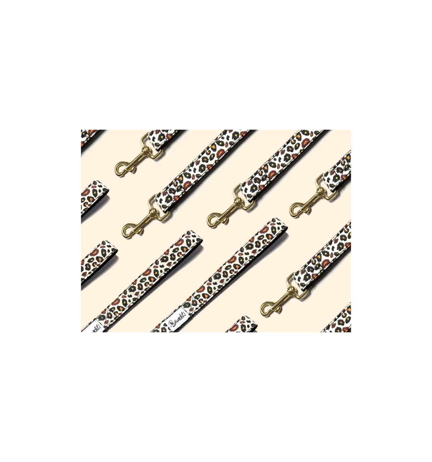 Laisse WILD WILD WOUF 1 Laisse WILD WILD WOUF