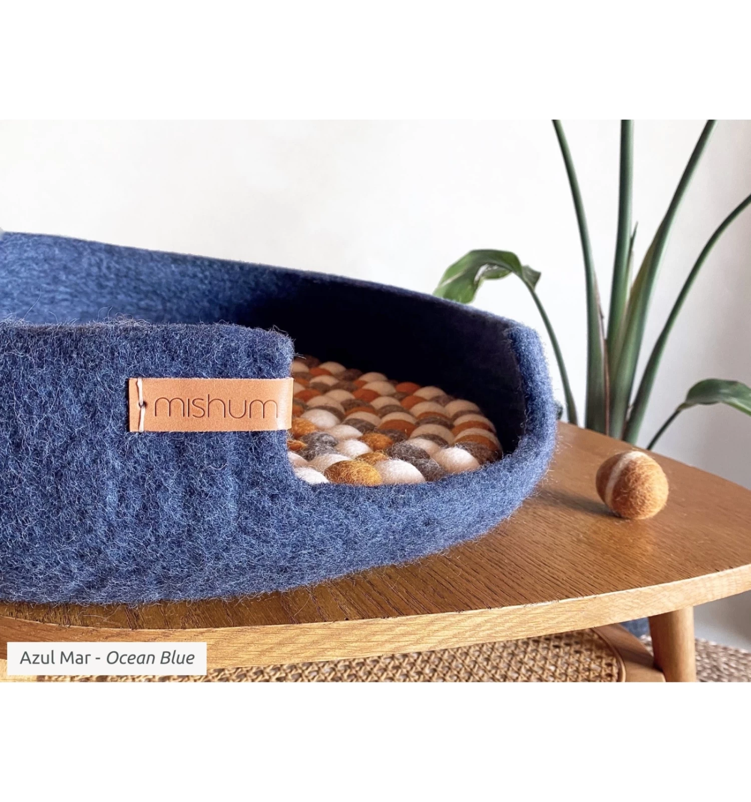 Lit Simona 1 Lit Simona