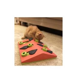 Melon Madness Puzzle & Play