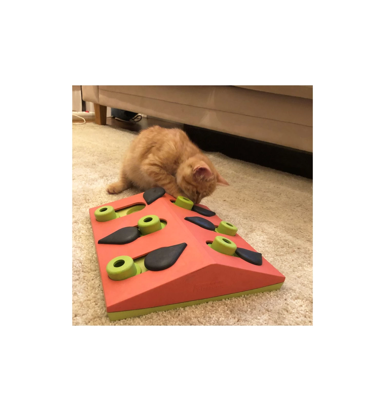 Melon Madness Puzzle & Play 1 Melon Madness Puzzle & Play