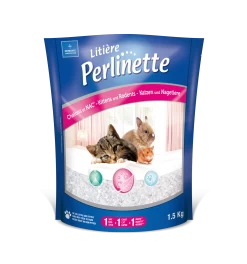 Perlinette Chaton