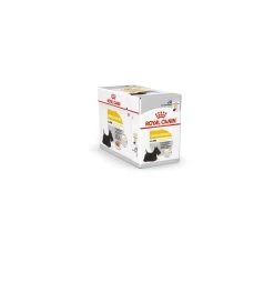Royal Canin - Dog Dermacomfort Sauce