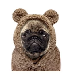 Sweat à Capuche Avec Fourrure AYDEN