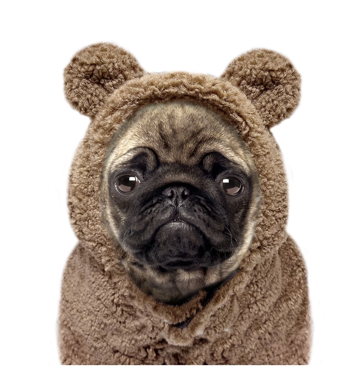 Sweat à Capuche Avec Fourrure AYDEN 1 Sweat à Capuche Avec Fourrure AYDEN