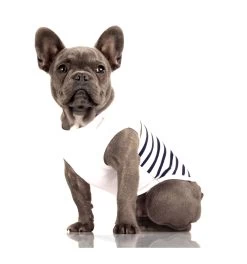 T-shirt Saint Brieuc "Capitaine"