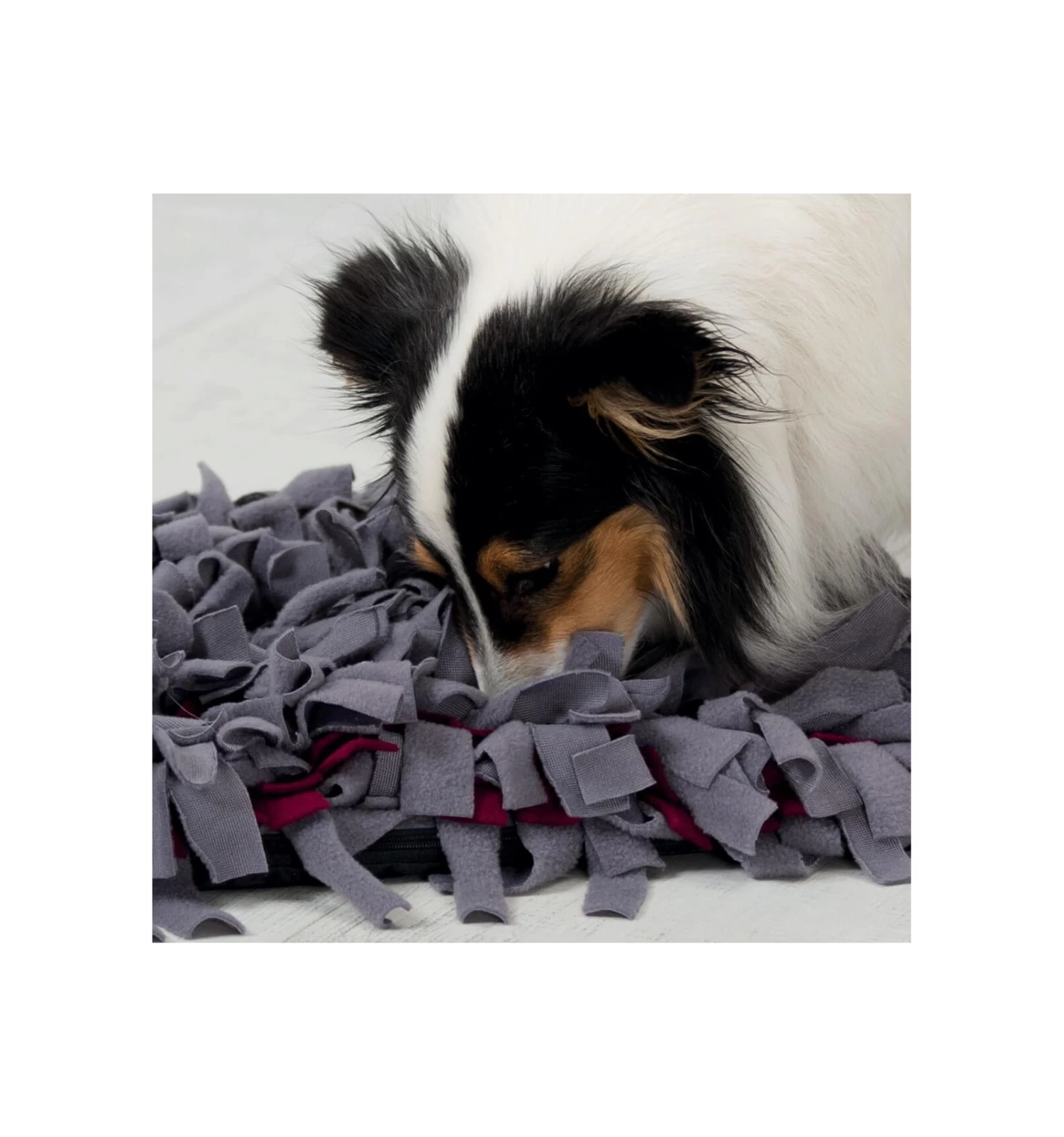 Trixie Tapis De Fouille 3 Trixie Tapis De Fouille – Image 3