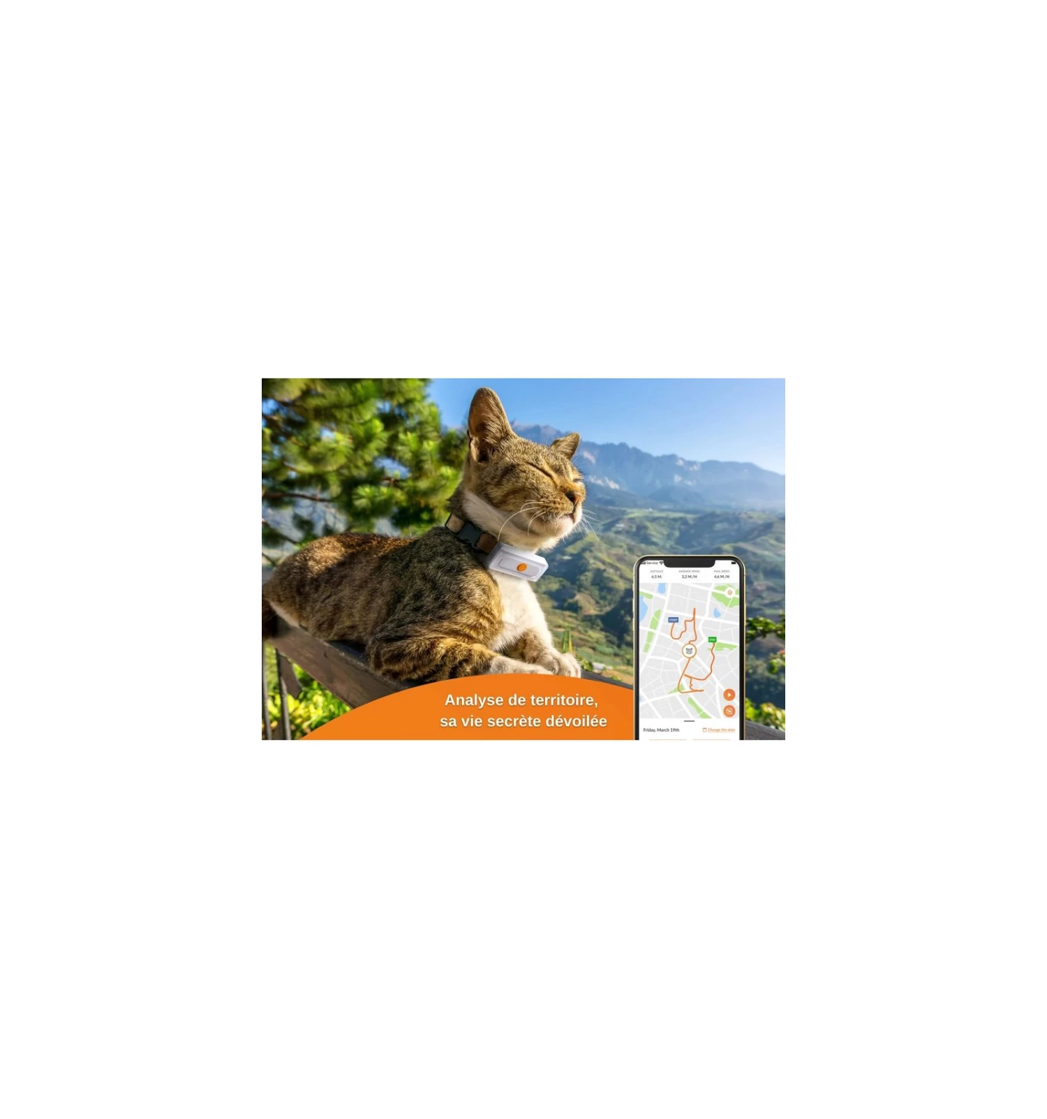 Weenect - GPS V2 Pour Chat 2 Weenect - GPS V2 Pour Chat – Image 2