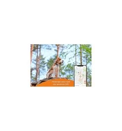 Weenect - GPS V2 Pour Chien 5 Weenect - GPS V2 Pour Chien -Animalerie weenect gps v2 pour chien 2