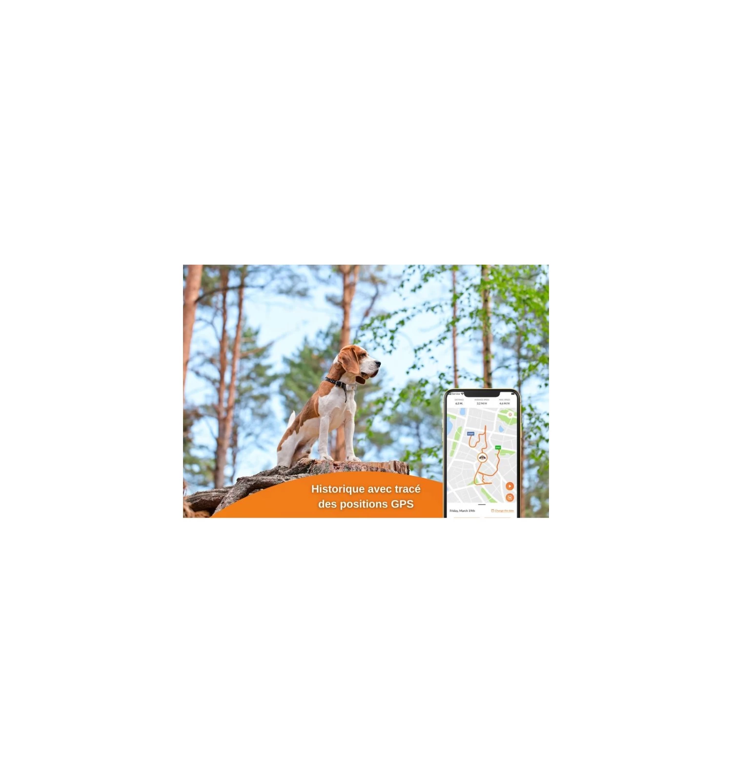 Weenect - GPS V2 Pour Chien 3 Weenect - GPS V2 Pour Chien – Image 3